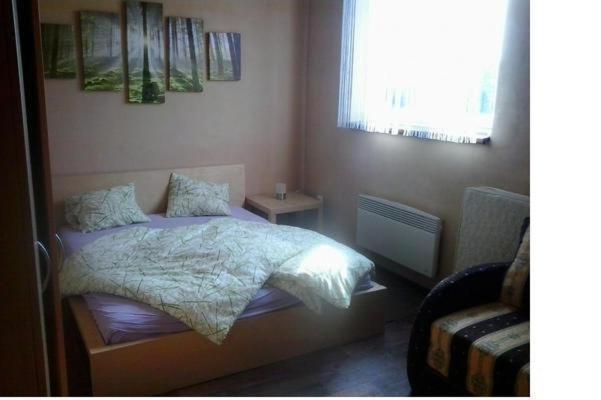 Apartmany Pod Landstejnem Stare Mesto  Стая снимка