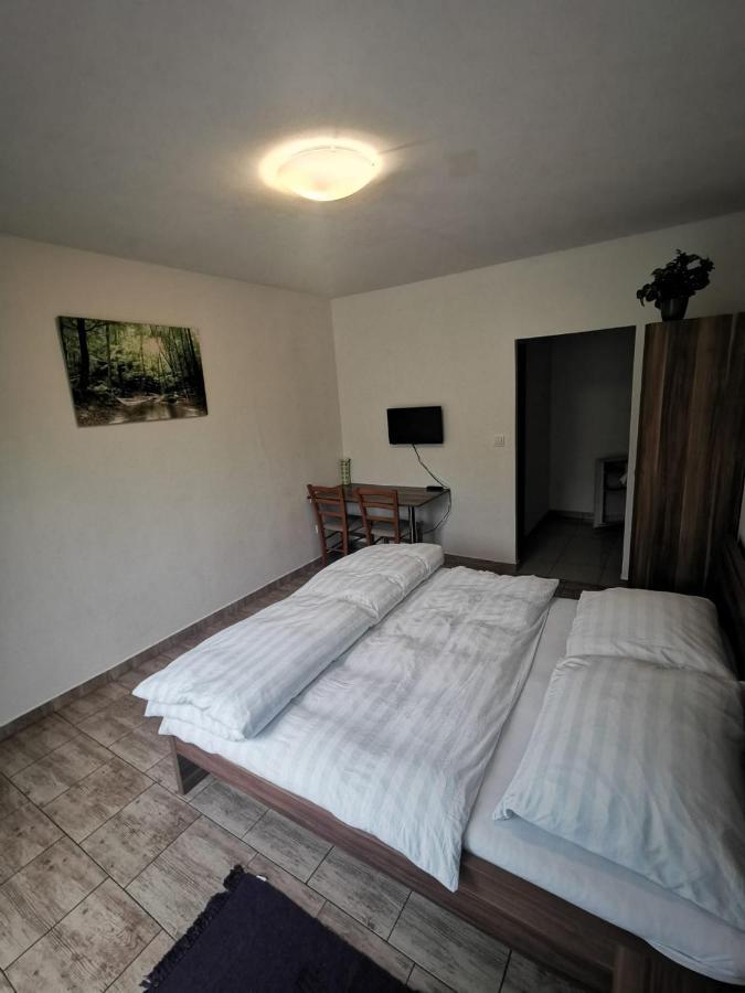 Apartmany Pod Landstejnem Stare Mesto  Екстериор снимка